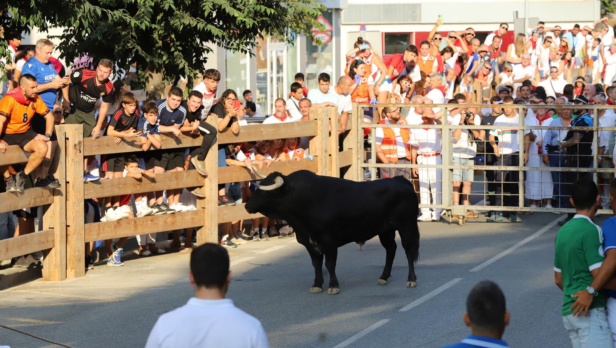 Fotos del primer encierro de fiestas de Tafalla