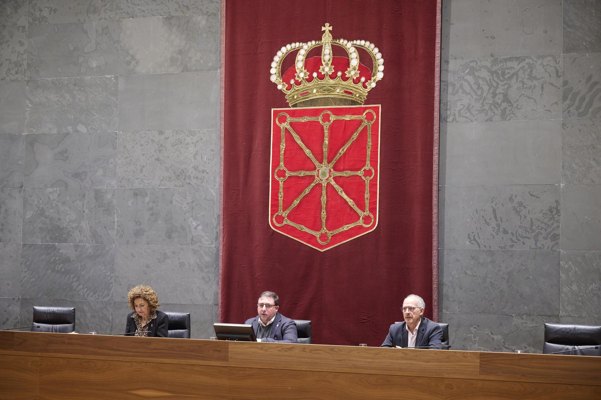 Conmemoración en el Parlamento de Navarra del Día Internacional de los Derechos Humanos