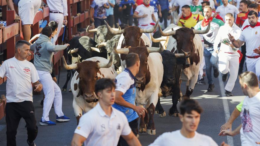 Un corredor navarro sufre una cornada de 15 centímetros en el encierro de San Sebastián de los Reyes