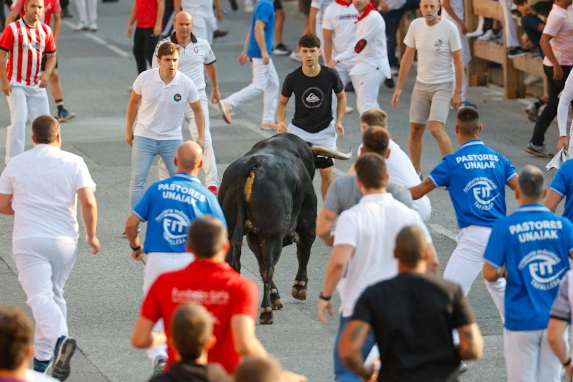 Fotos del primer encierro de fiestas de Tafalla