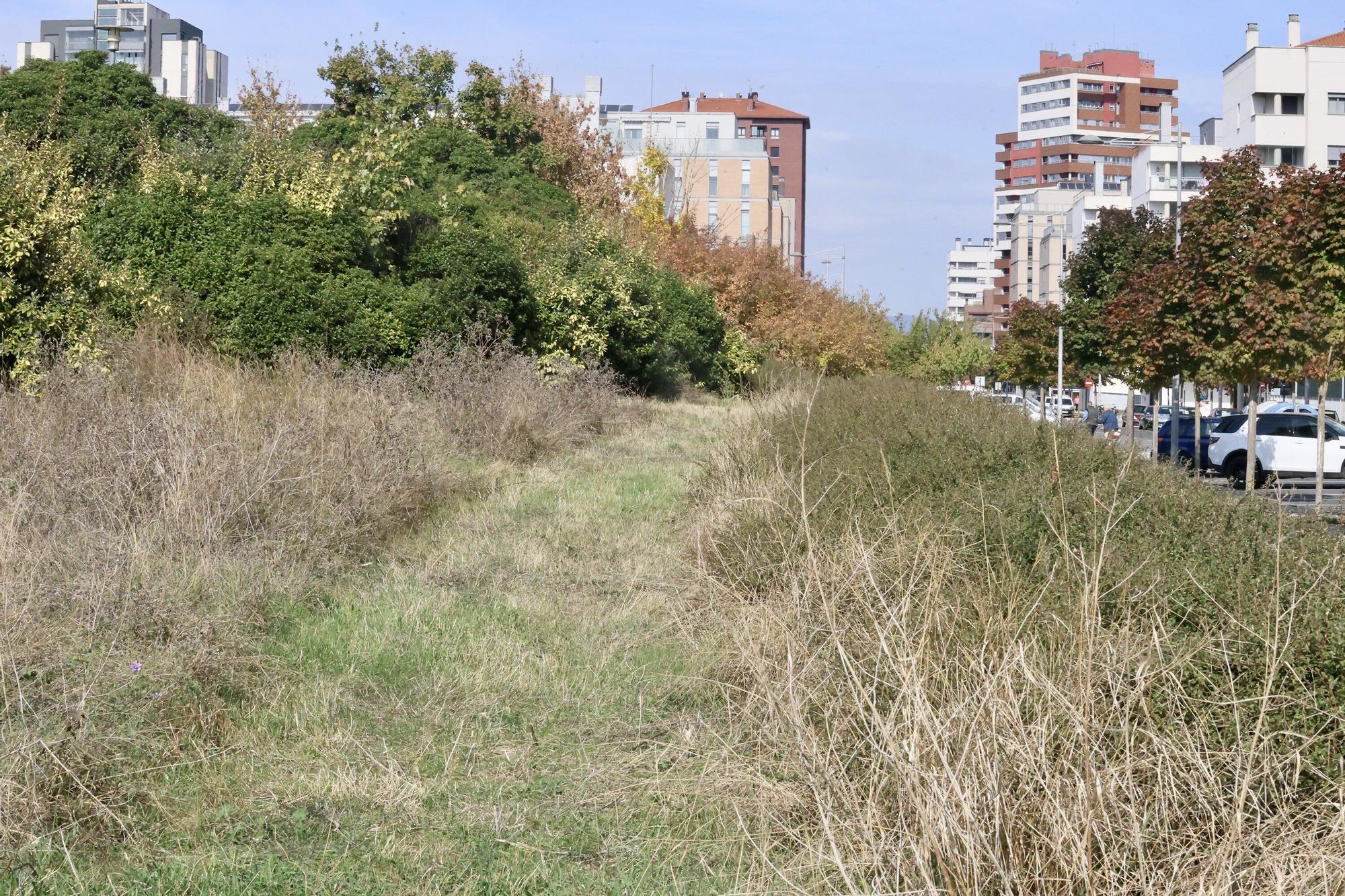 En imágenes: Vitoria-Gasteiz se prepara para adecentar el verde de la ciudad