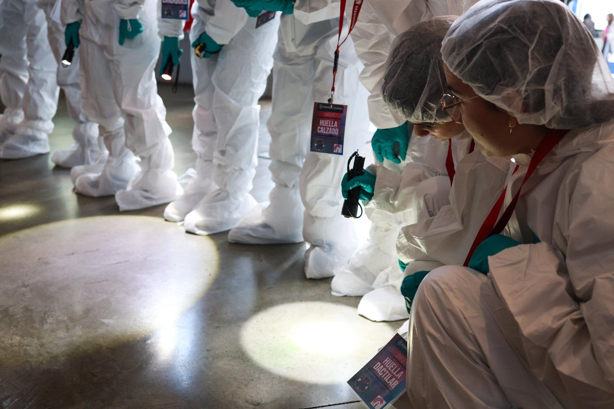 En imágenes: el misterioso robo en el Itsasmuseum de Bilbao que investiga un grupo de estudiantes