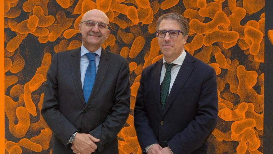 Un estudio en el que participa la Universidad de Navarra demuestra que la dieta mediterránea reduce un 31 % el riesgo de diabetes