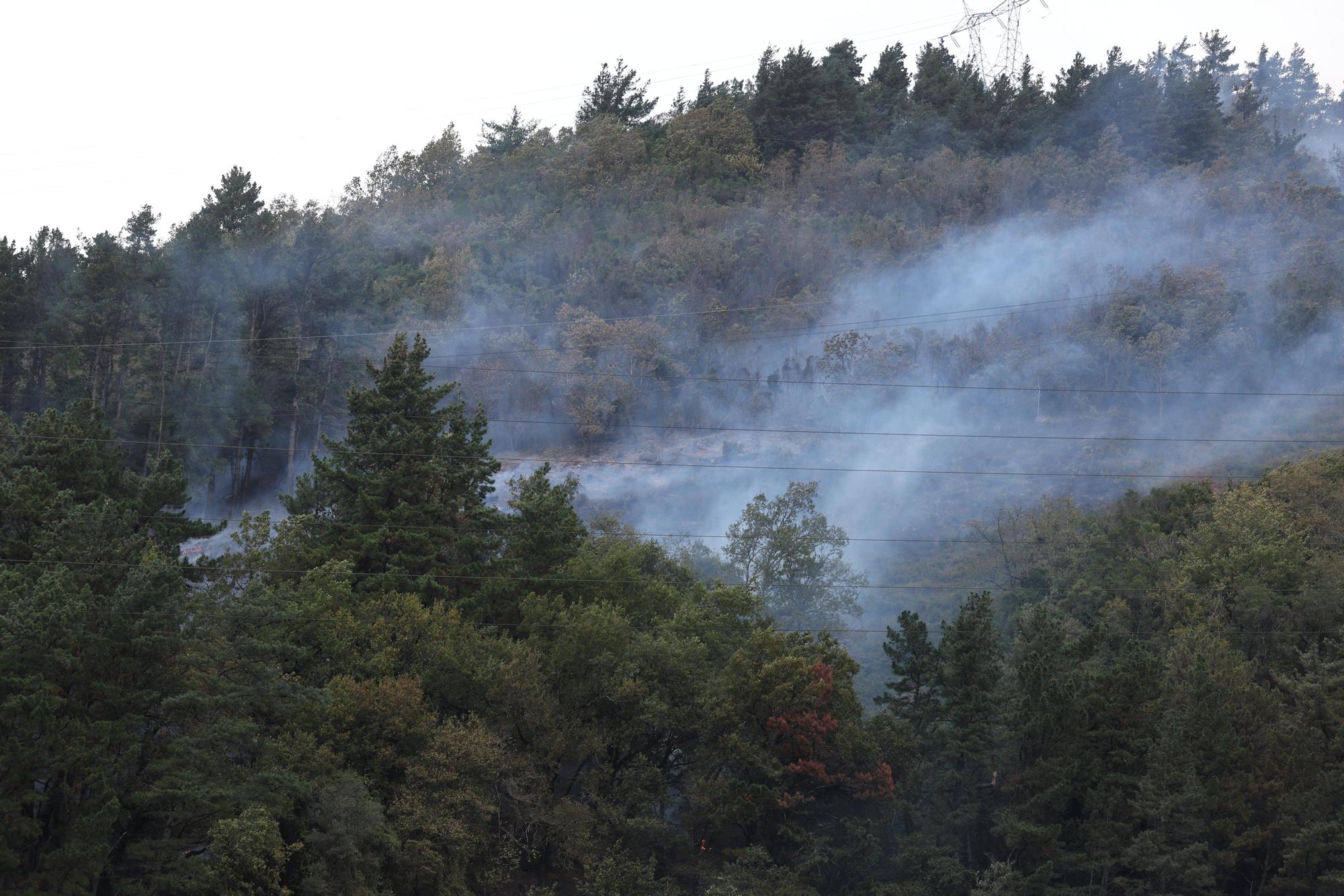 Incendio forestal en Güeñes