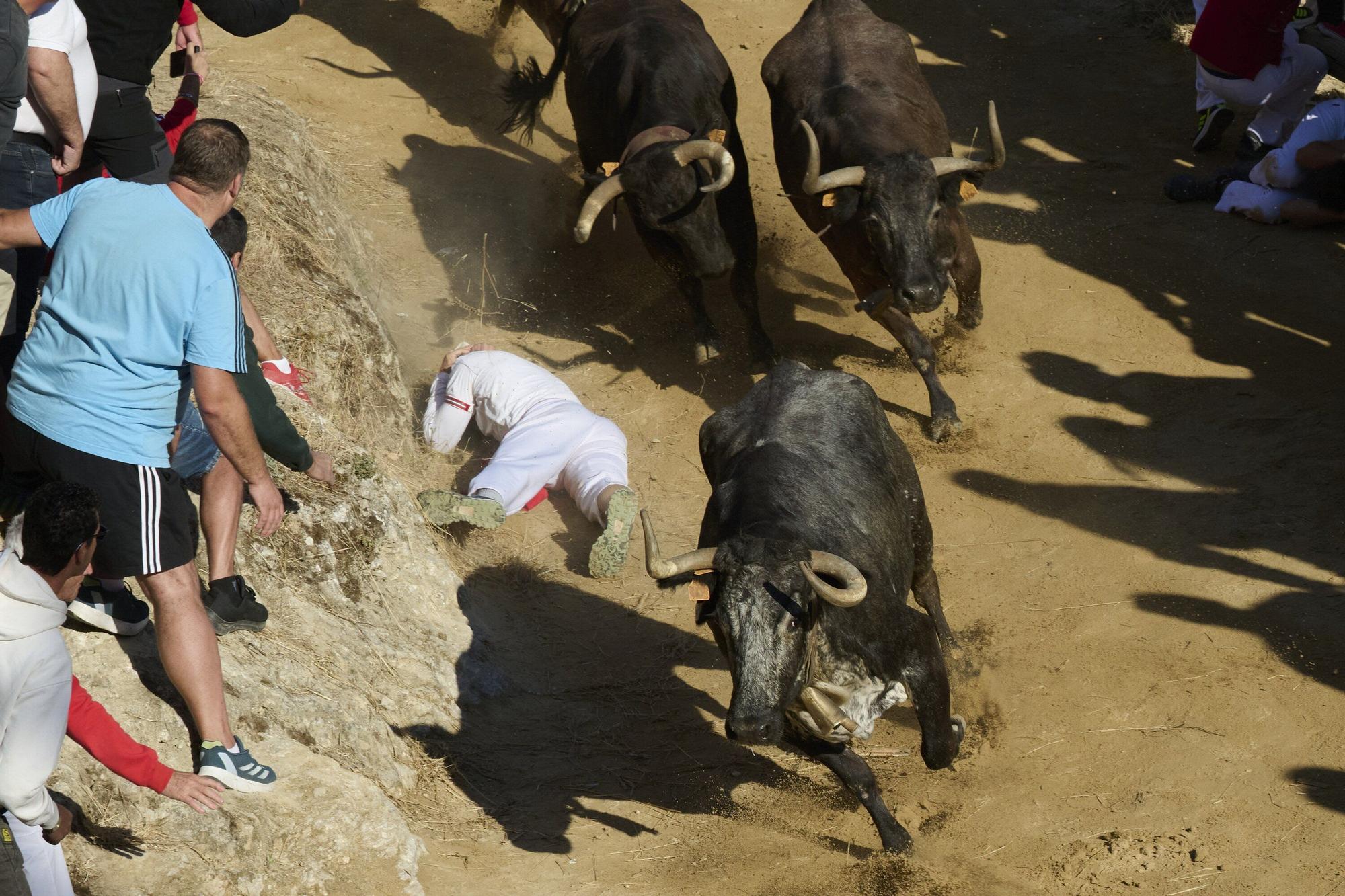Fotos del penúltimo encierro del Pilón de Falces 2025