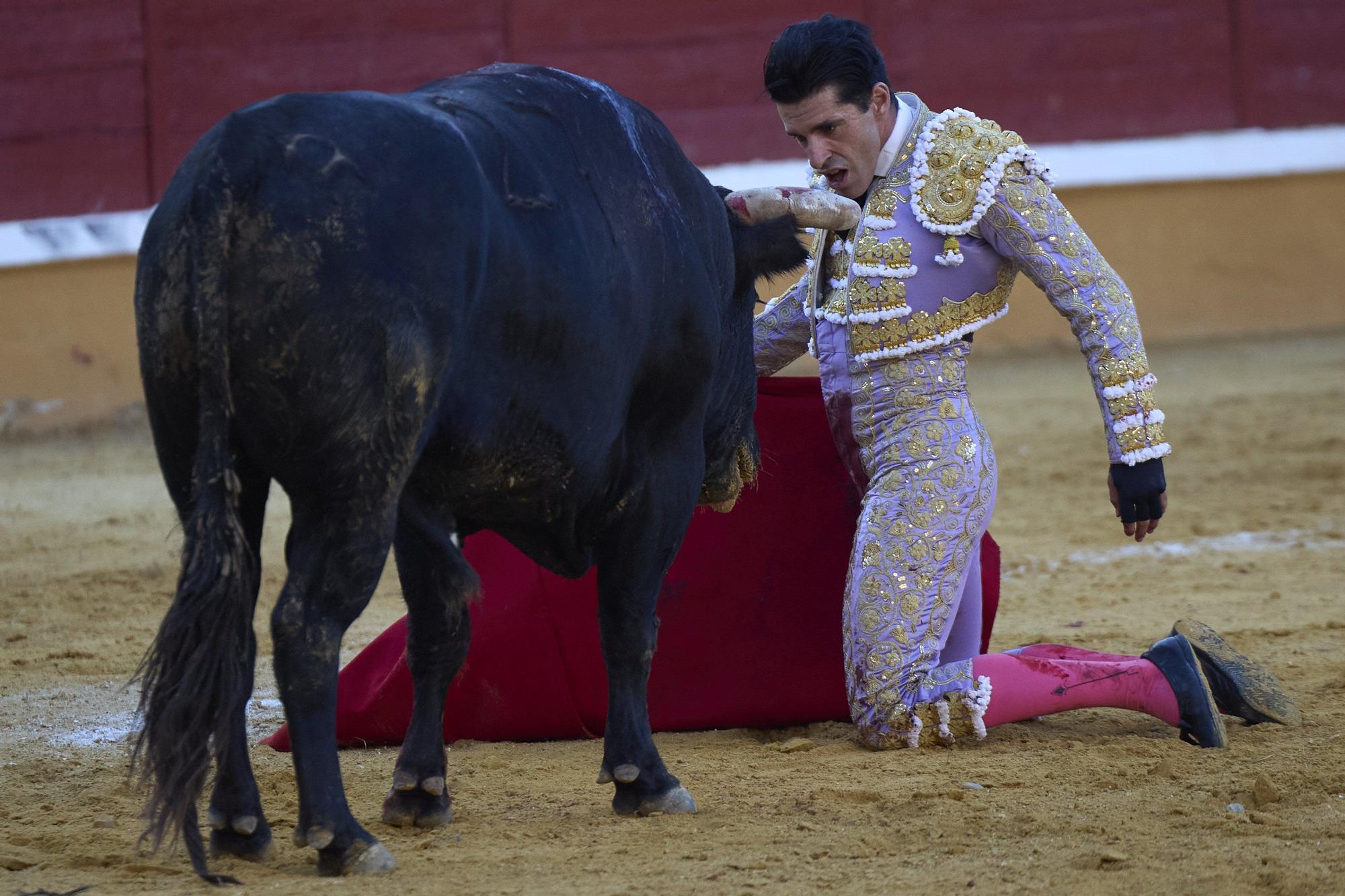 Fotos de la corrida de toros en Tudela con toros de Garzón Valdenebro