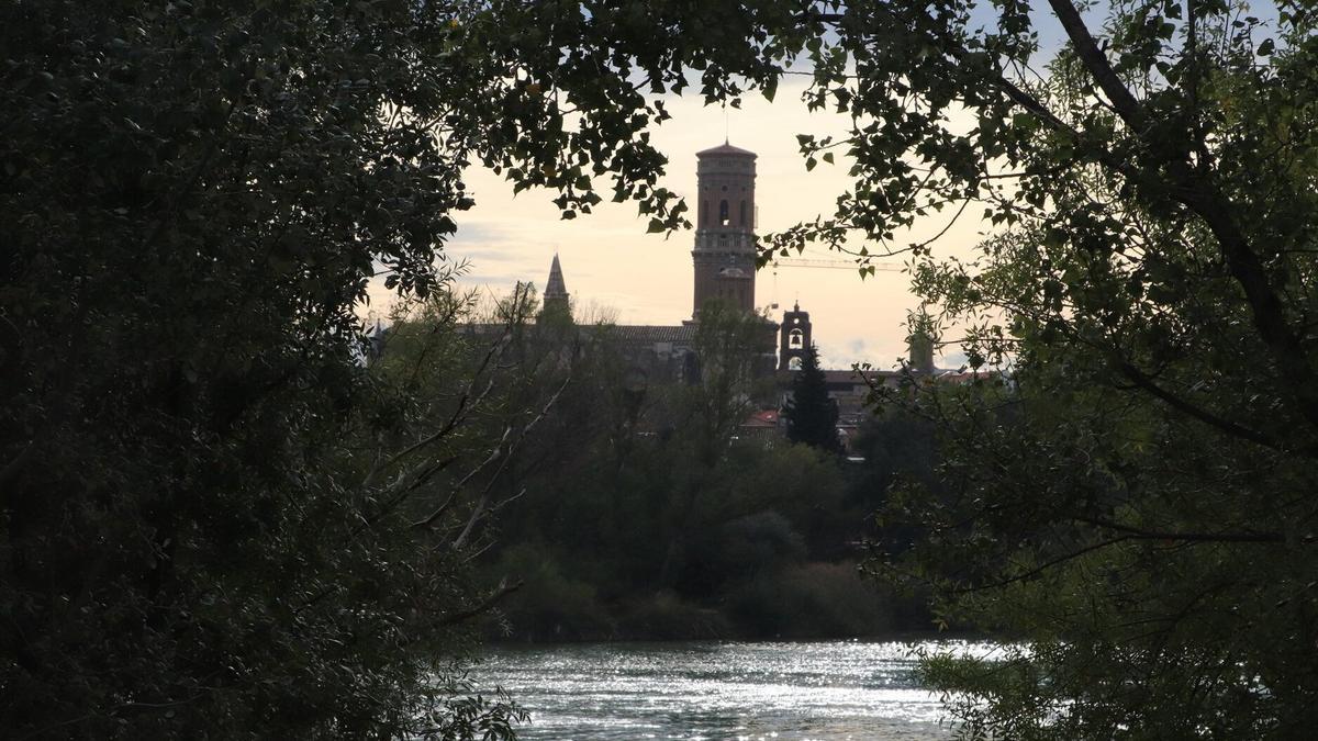 Vista de la catedral de Tudela desde la otra orilla del Ebro.