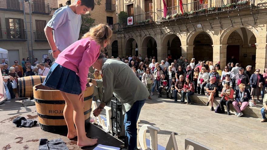 Fotos de la IV Fiesta de la Vendimia en Viana