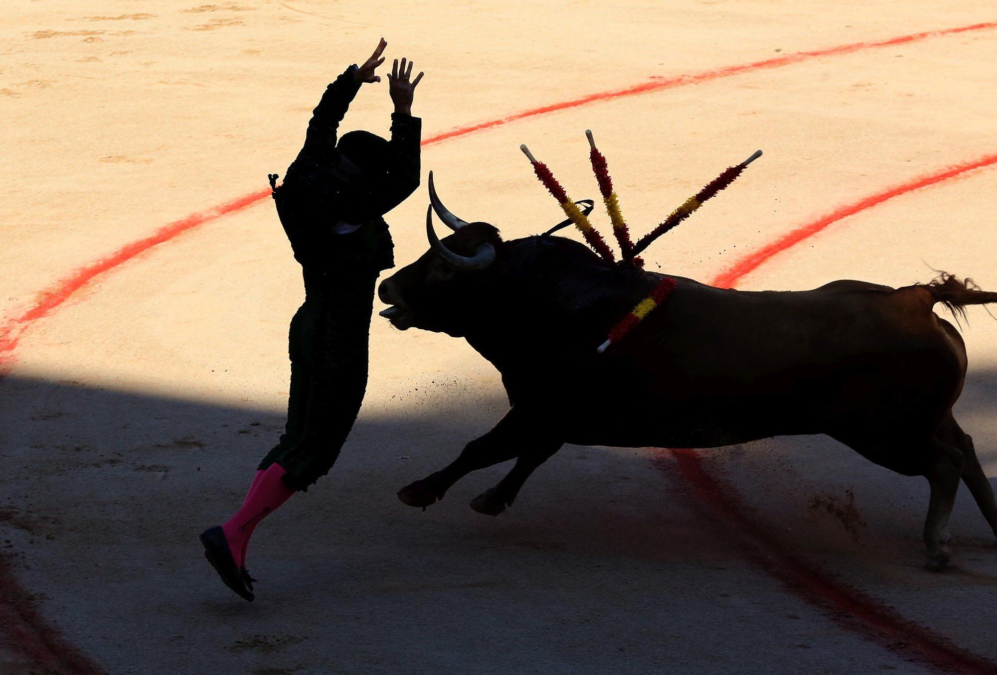 Fotos de la corrida de toros del día 9.