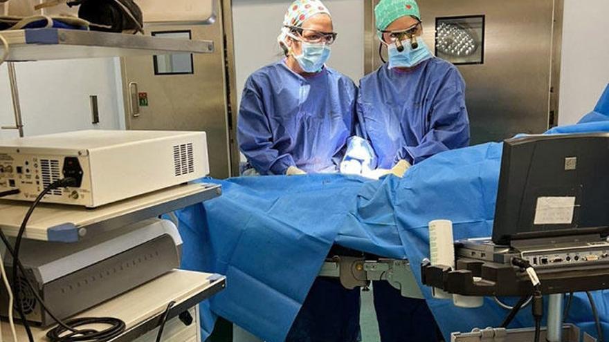 Implantan las primeras venas personalizadas por ingeniería del mundo