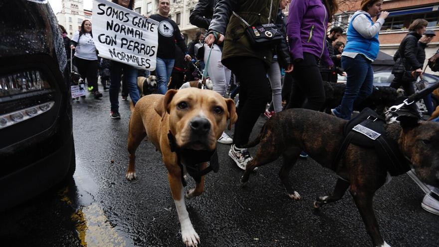 24 sanciones a los propietarios  de Perros Potencialmente Peligrosos