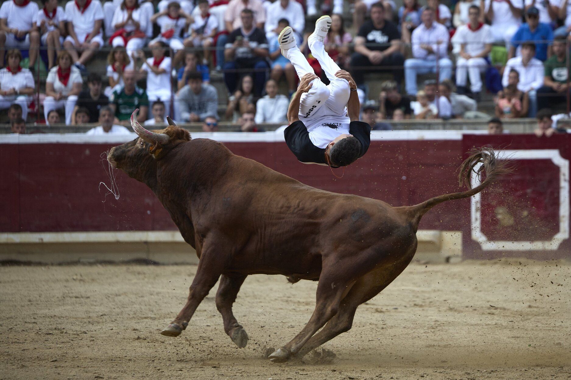 Fotos del concurso de recortadores de fiestas de Tafalla