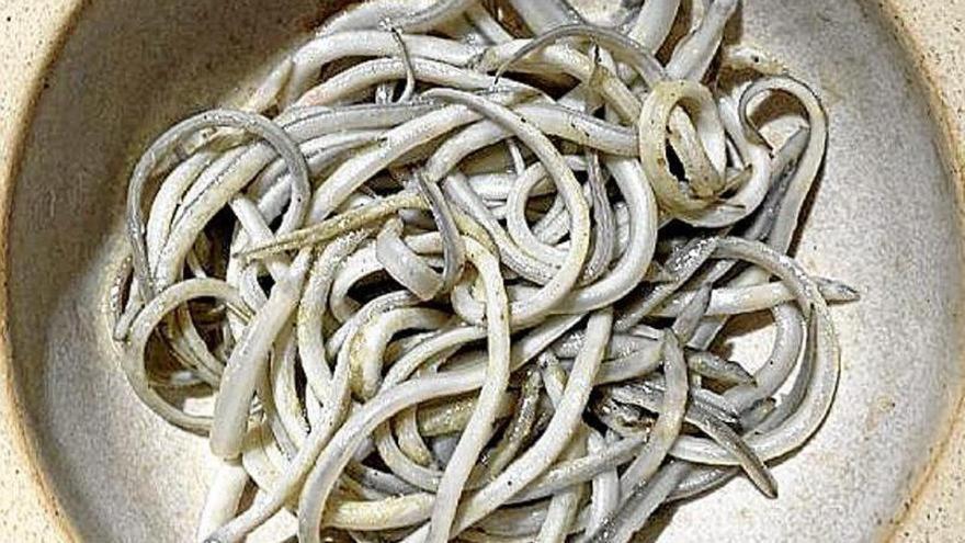 Solicitan catalogar la anguila y las angulas como especies en peligro de extinción