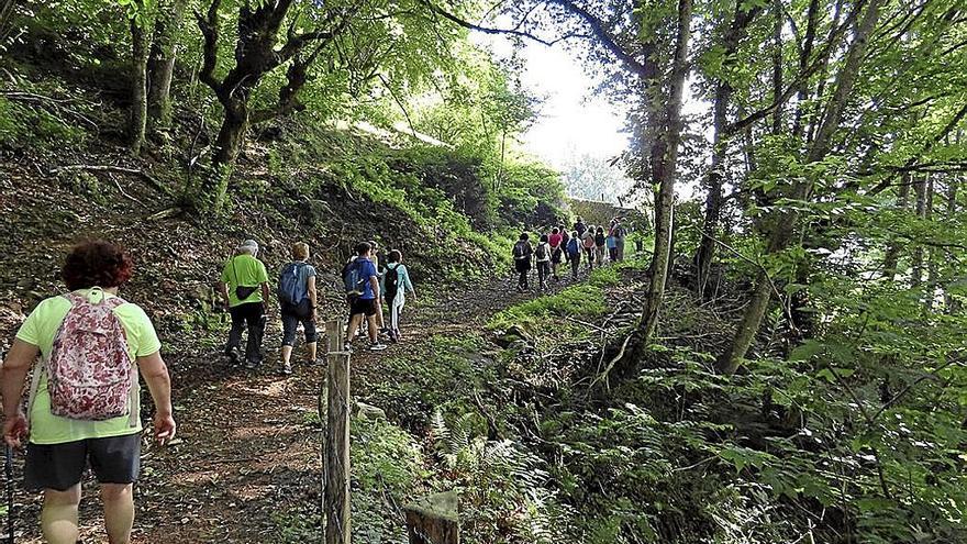 Fin de semana de naturaleza y arqueología en Cascante