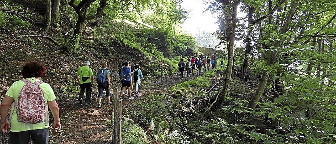 Fin de semana de naturaleza y arqueología en Cascante