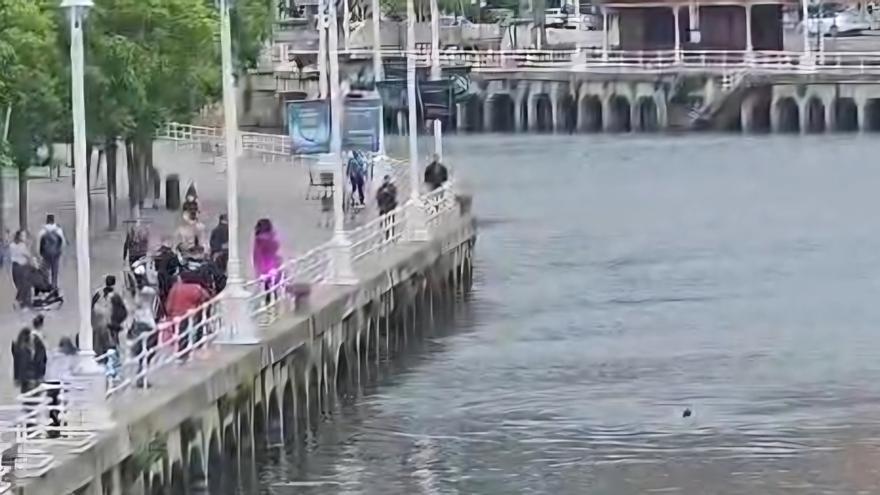 Rescatan a un hombre caído en la Ría de Bilbao
