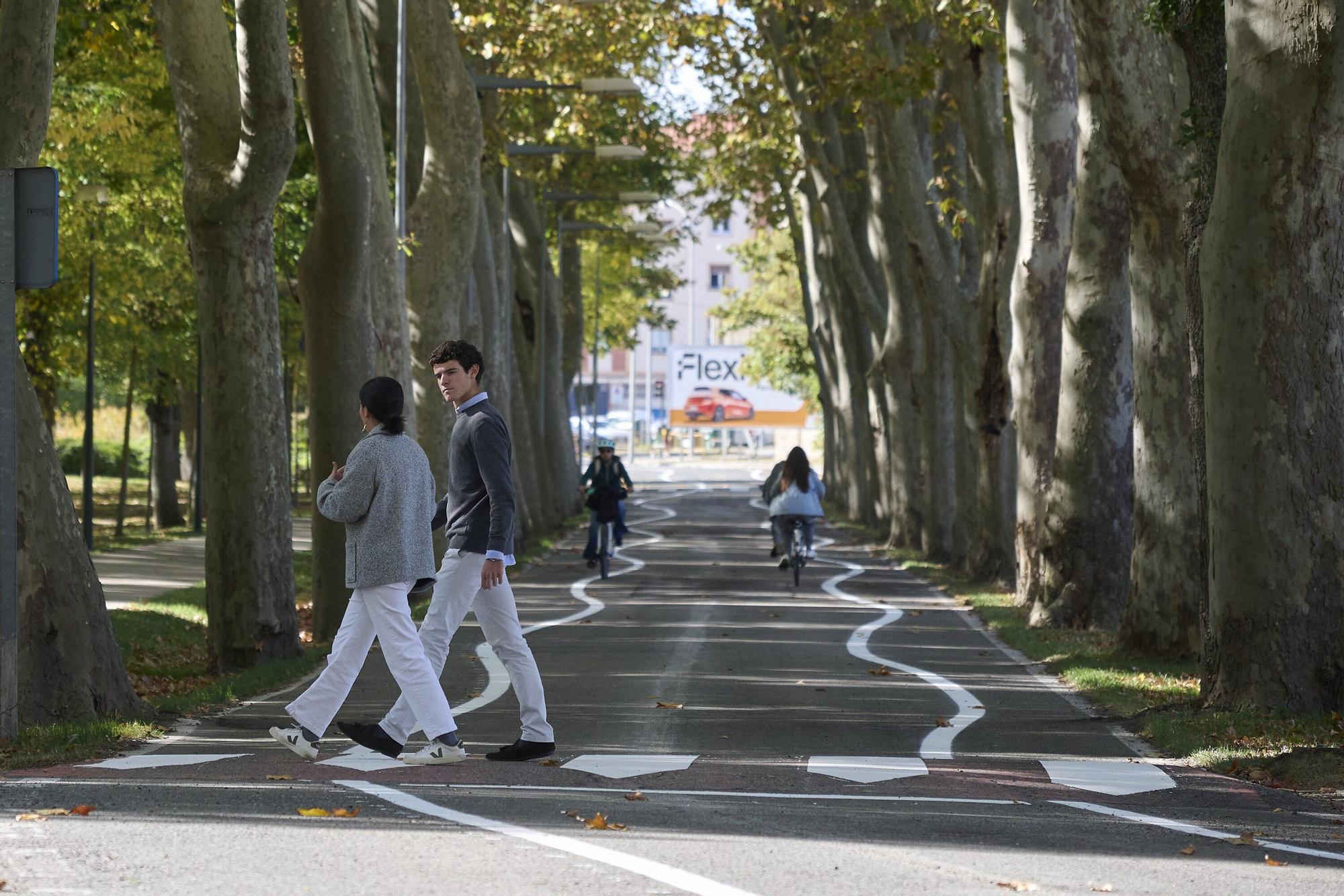 Fotos de las líneas serpenteantes de la carretera de la Universidad de Navarra