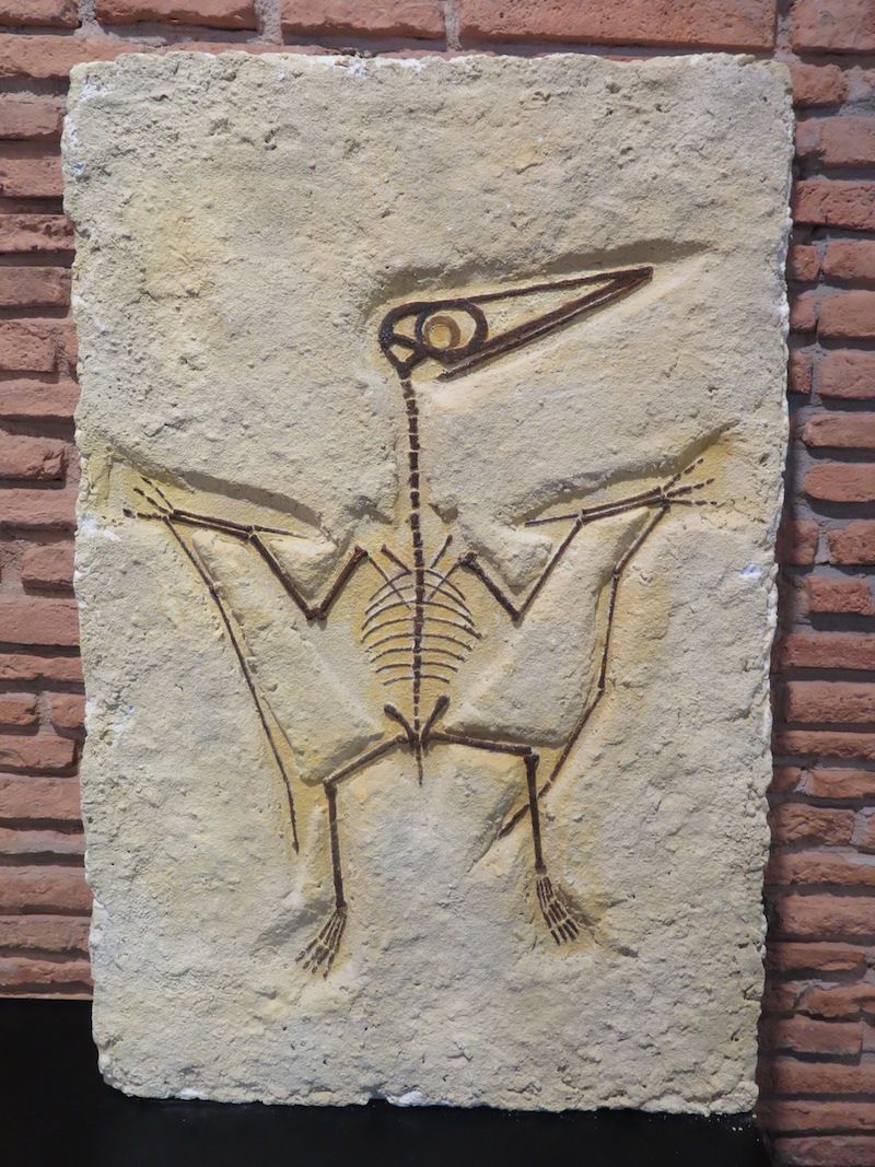 Los minerales, los fósiles y los dinosaurios toman Urretxu