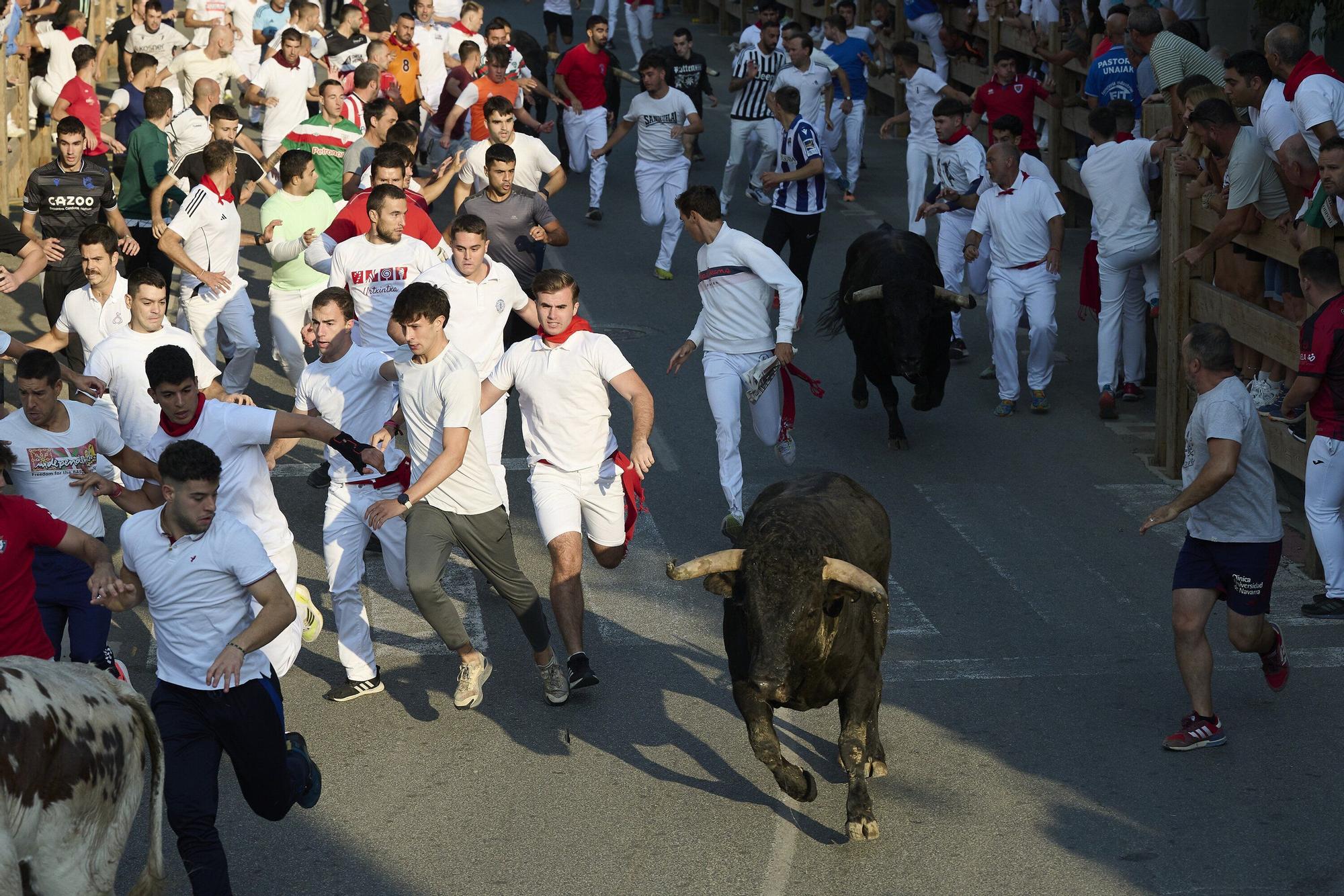 Fotos del primer encierro de fiestas de Tafalla