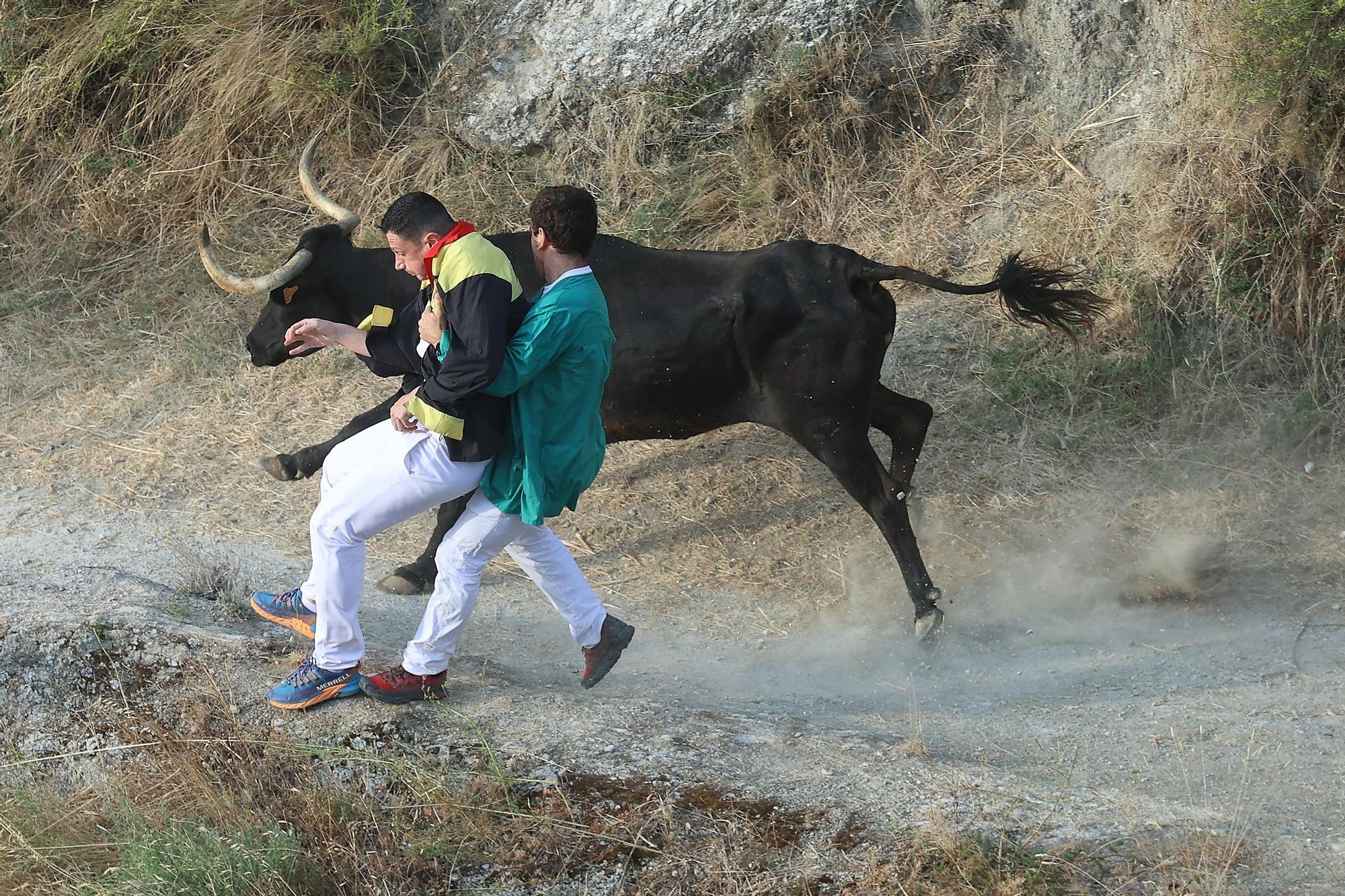 Fotos del segundo encierro del Pilón de Falces 2025