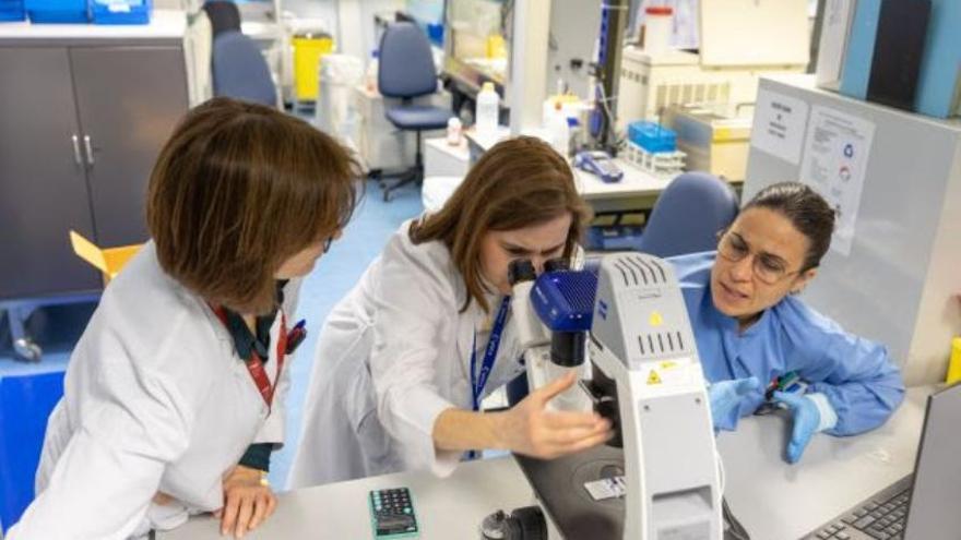 53 investigadores de la Universidad de Navarra, entre los más influyentes del mundo