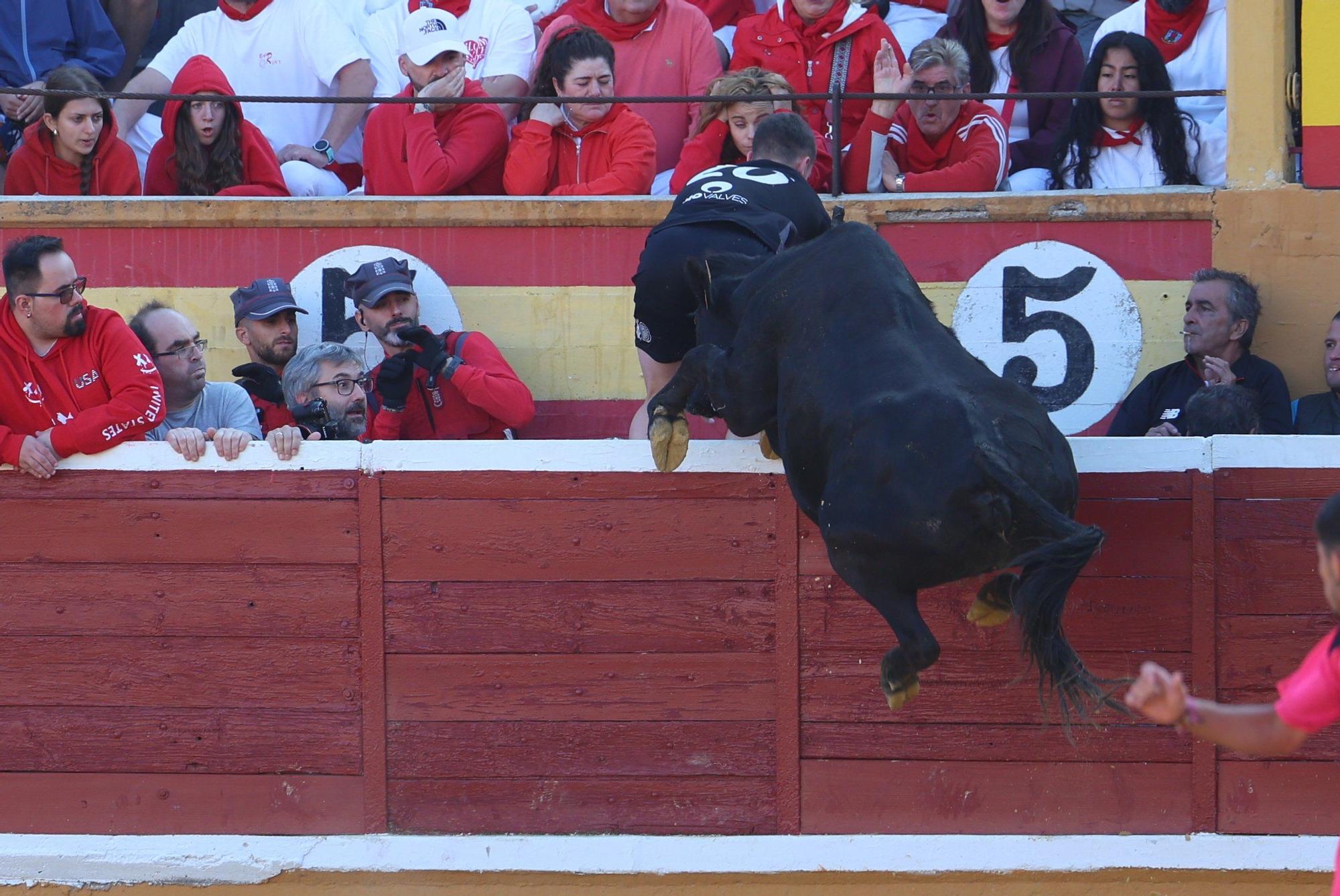 Revolcón de un mozo en las vaquillas de Tudela