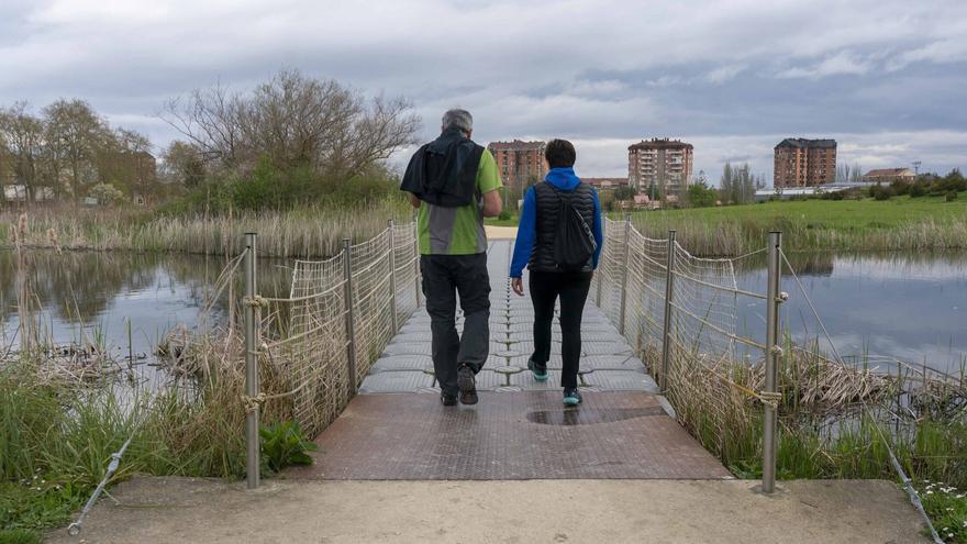 56 actividades este invierno en Ataria y en el Jardín Botánico