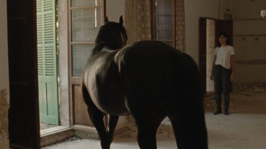 La Filmoteca de Navarra dedica una sesión especial al trabajo de Irati Gorostidi Agirretxe