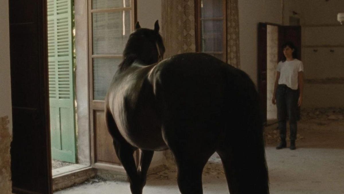 &#039;Unicornio&#039;.