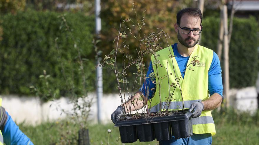 El ‘Bosque Olímpico’ de Mendillorri acoge este sábado una jornada de voluntariado ambiental para reponer arbolado