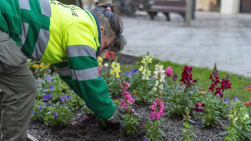 Nuevas experiencias de Jardinería Sostenible, ante el cambio climático