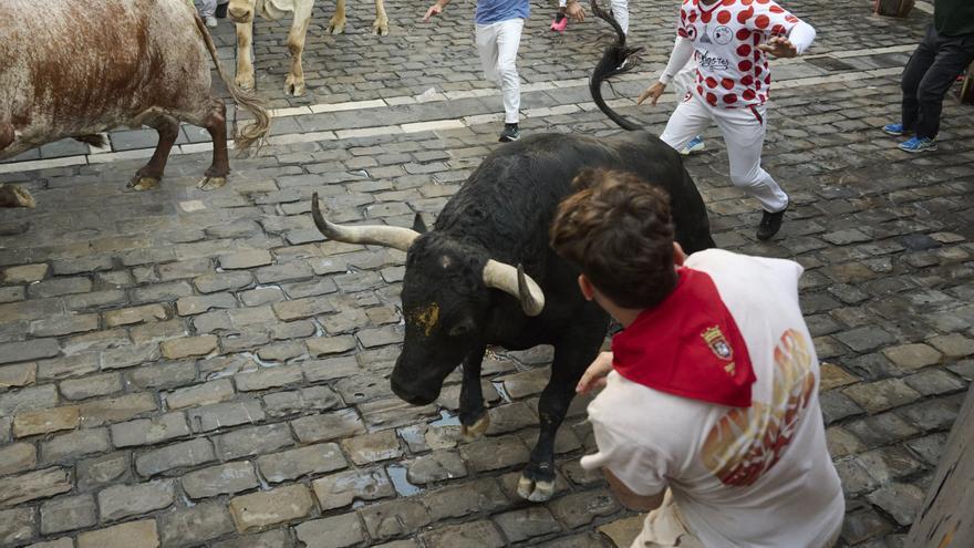 Los toros de Fuente Ymbro dan una emocionante velocidad al primer encierro de las fiestas de San Fermín