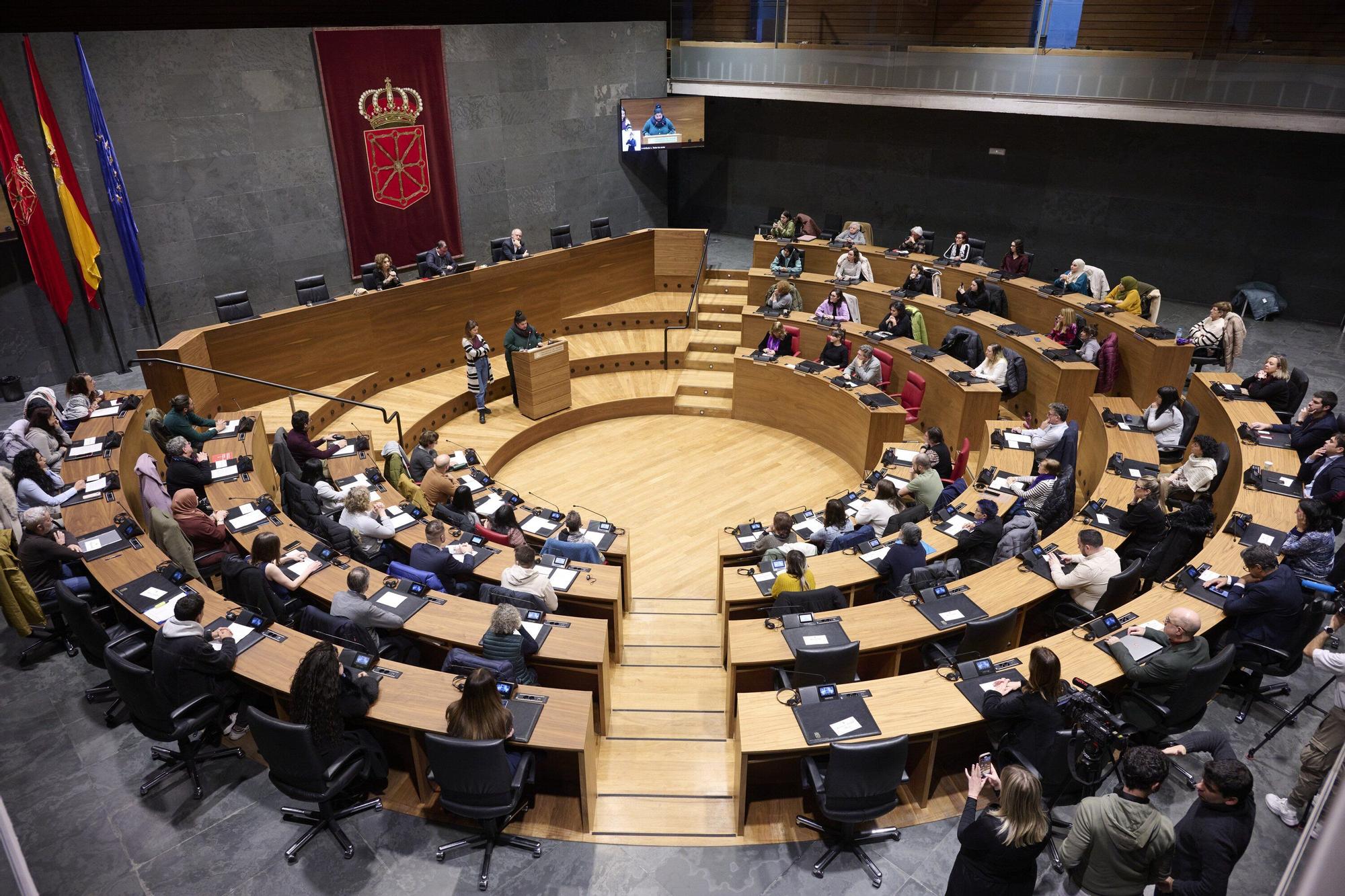 Conmemoración en el Parlamento de Navarra del Día Internacional de los Derechos Humanos