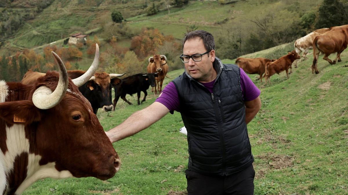 Iñigo Almorza, ganadero de Bergarako Zezenak.