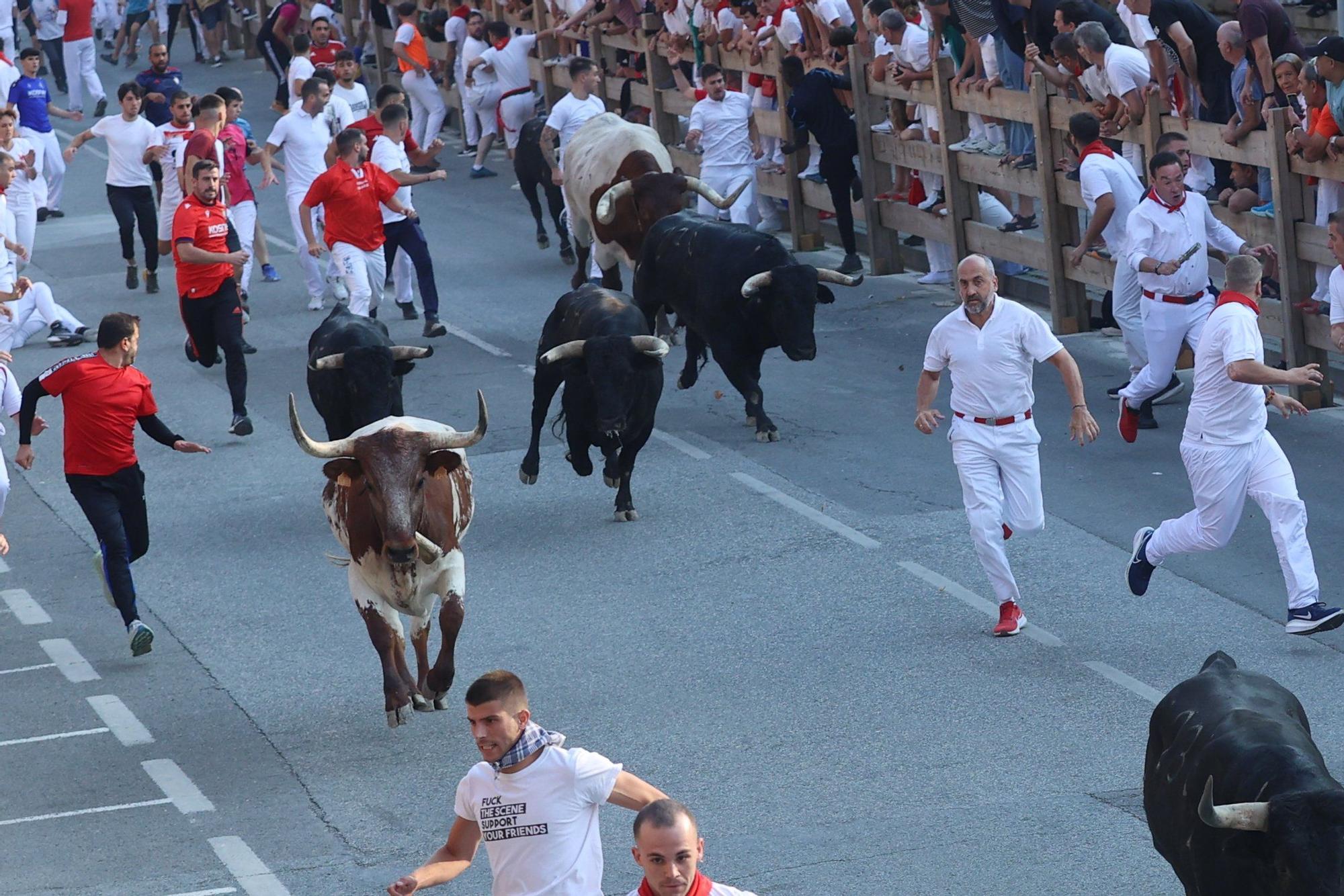 Fotos del segundo encierro de fiestas de Tafalla 2025