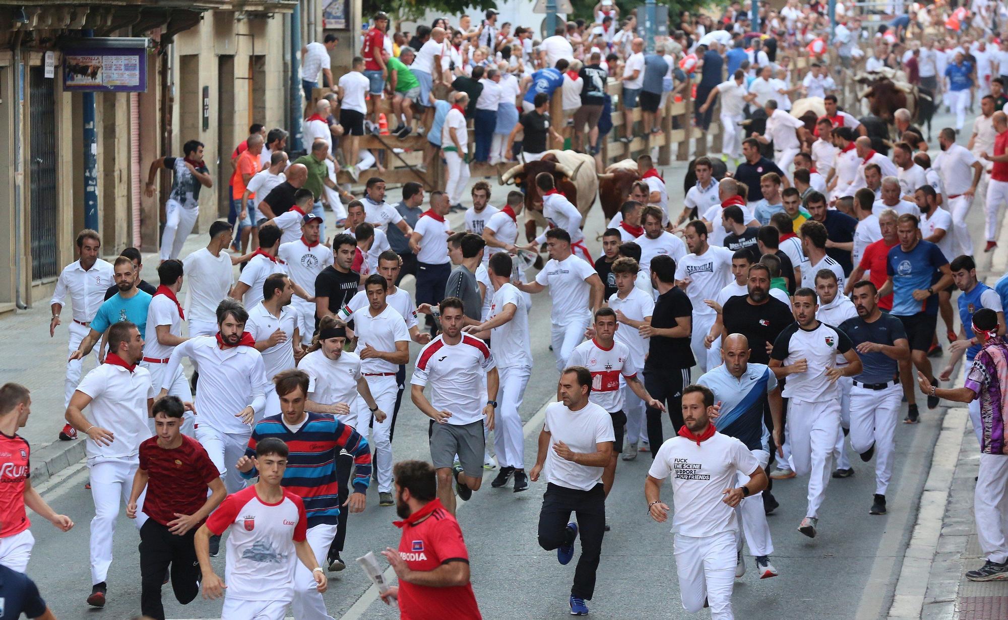 Fotos del primer encierro de fiestas de Tafalla