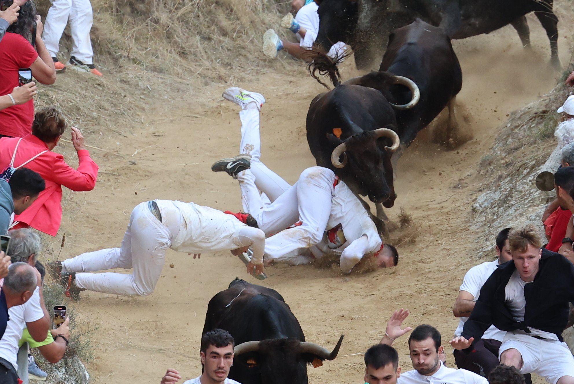 Fotos del tercer encierro del Pilón de Falces 2025