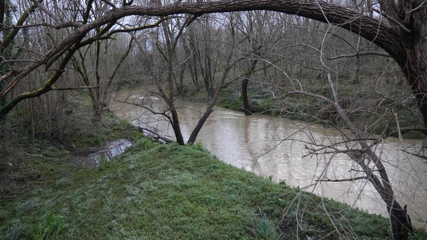 Maruri-Jatabe y URA analizan las inundaciones en la cuenca del río Butrón