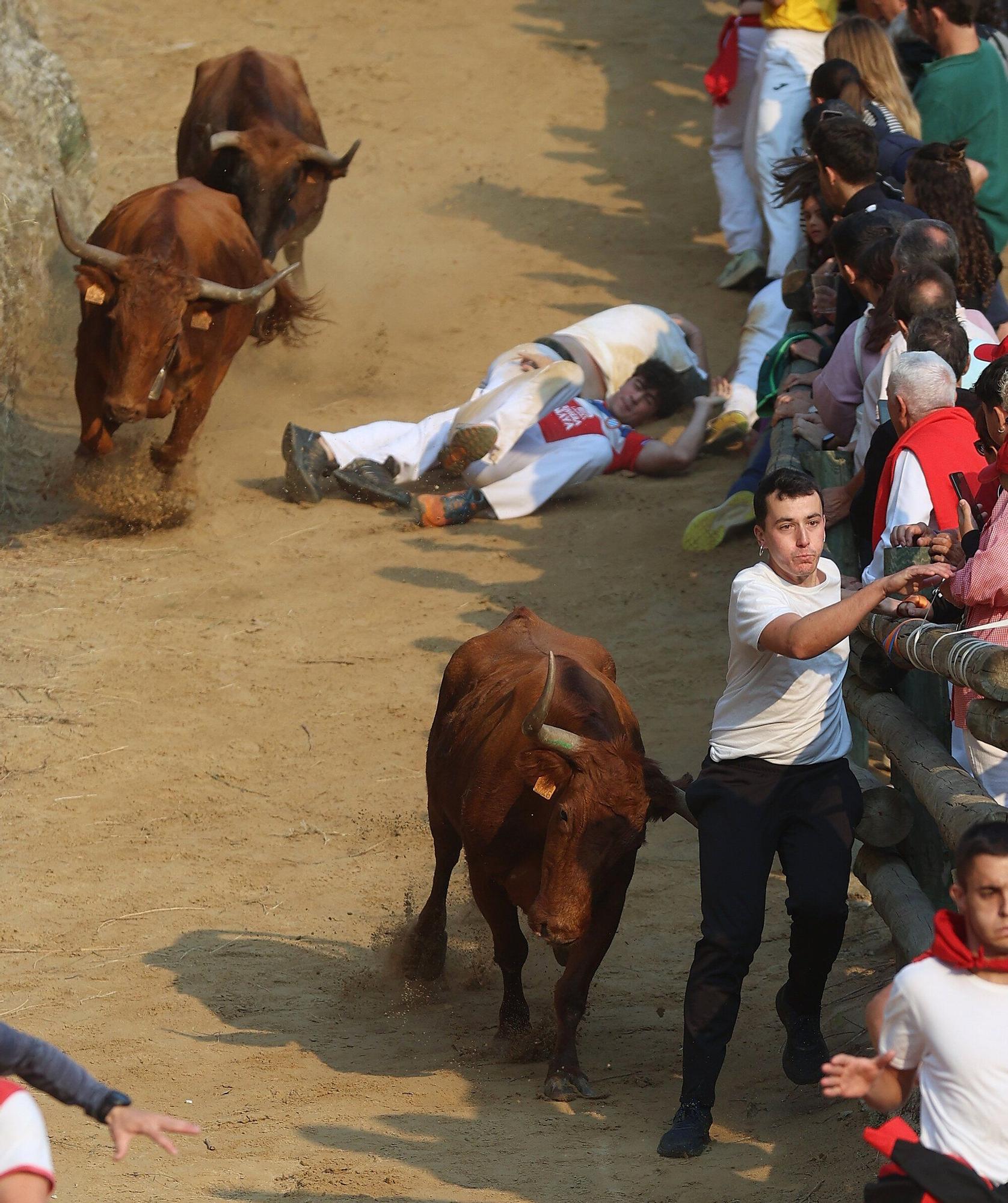 Fotos del cuarto encierro del Pilón de Falces 2025