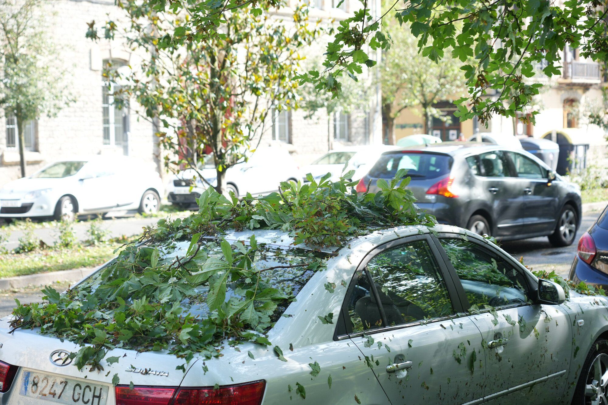 En imágenes: Así ha amanecido la capital alavesa tras la espectacular granizada