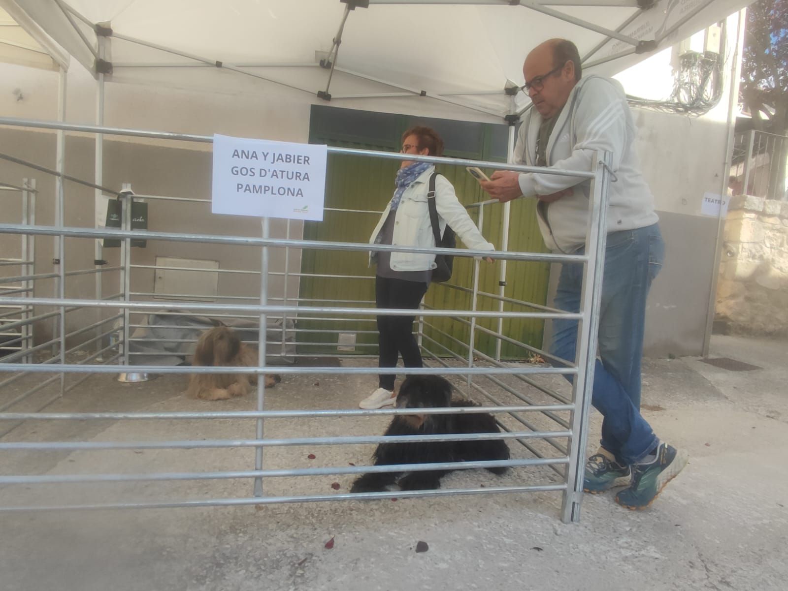 Fotos del Día del pastor en Améscoa