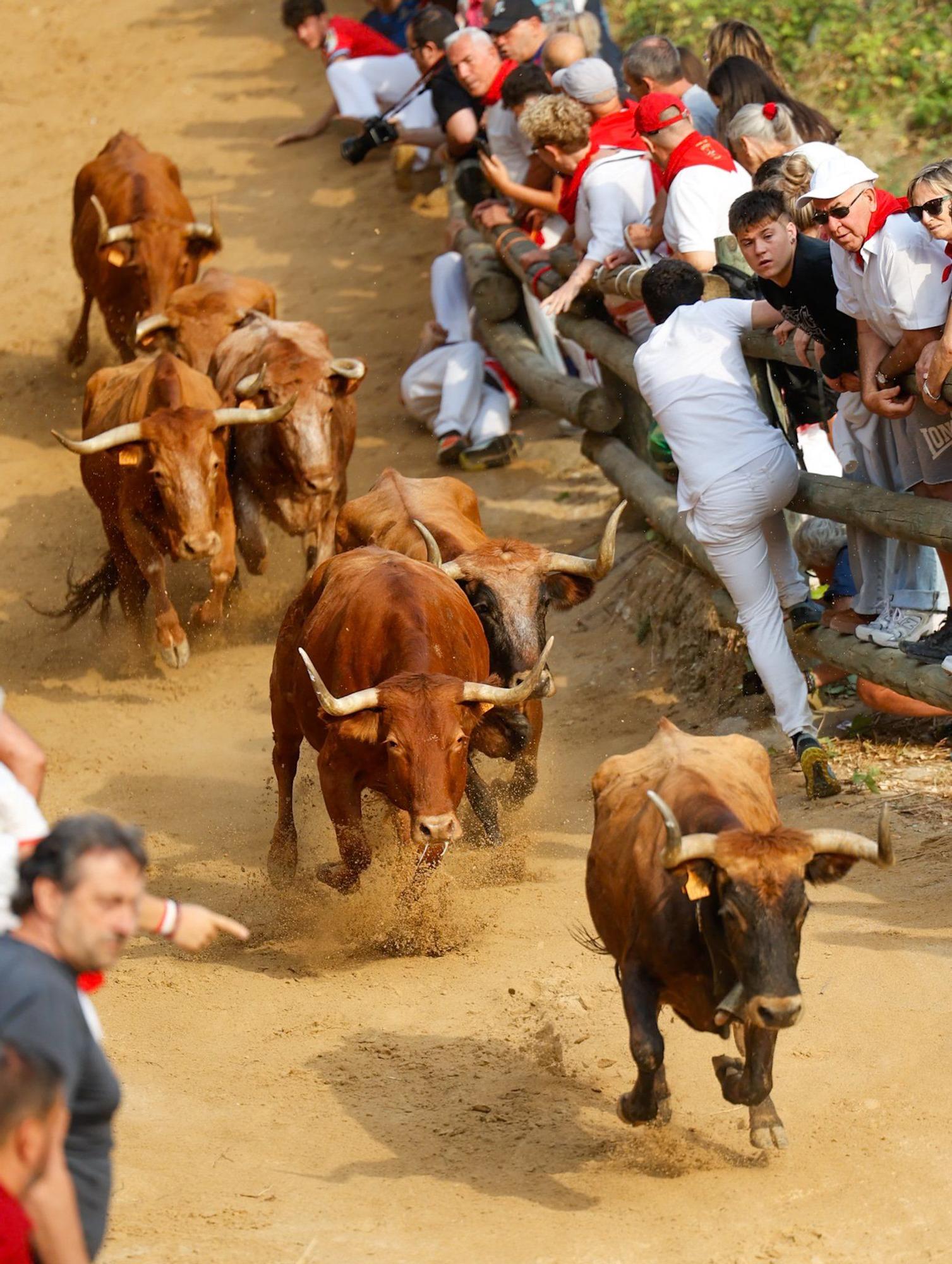 Fotos del segundo encierro del Pilón de Falces 2025