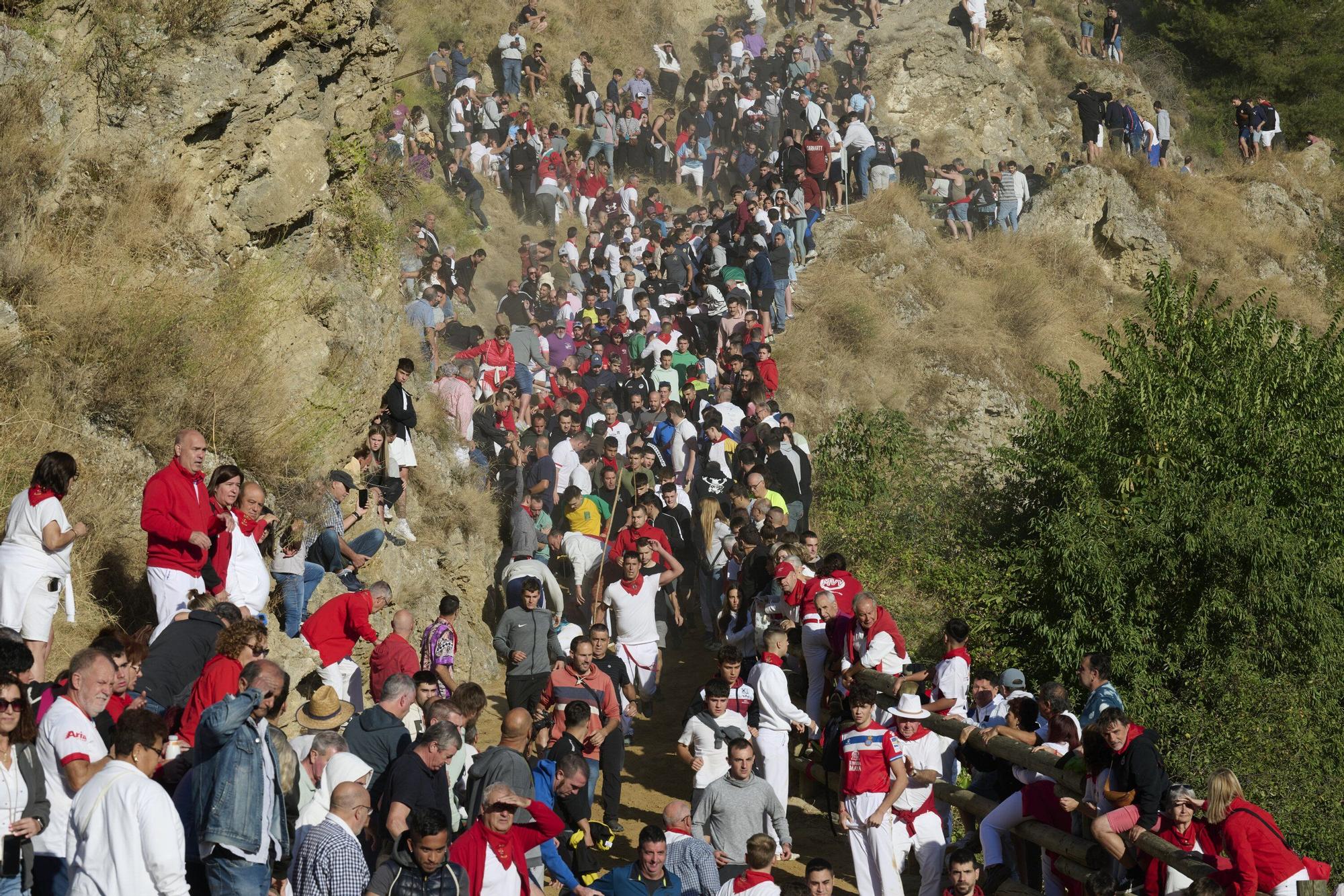 Fotos del penúltimo encierro del Pilón de Falces 2025