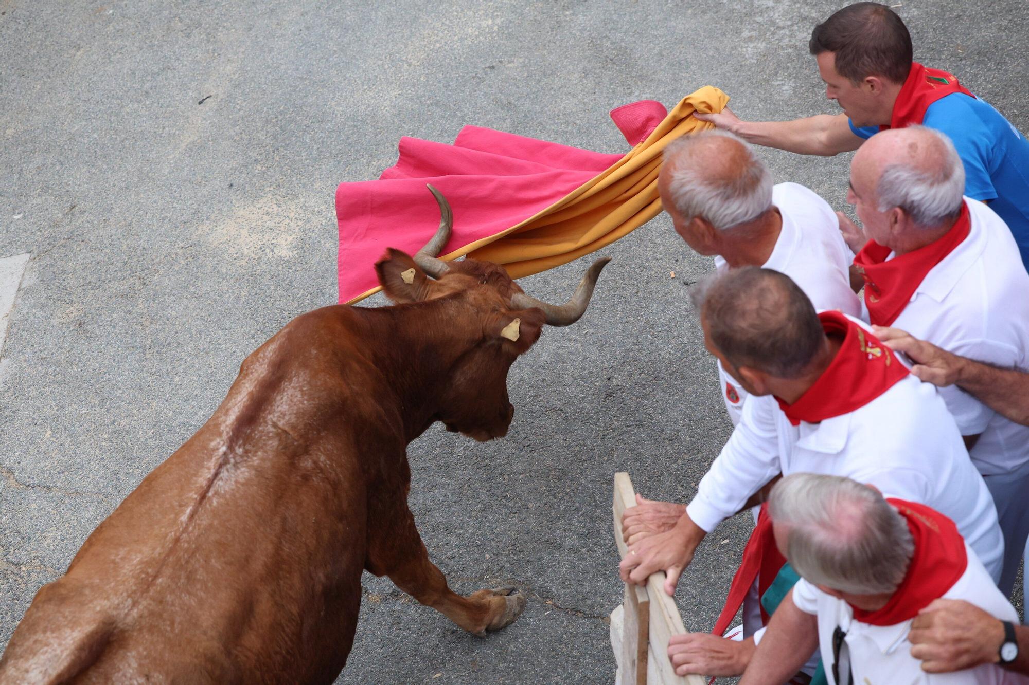 Fotos del tercer encierro del Pilón de Falces 2025