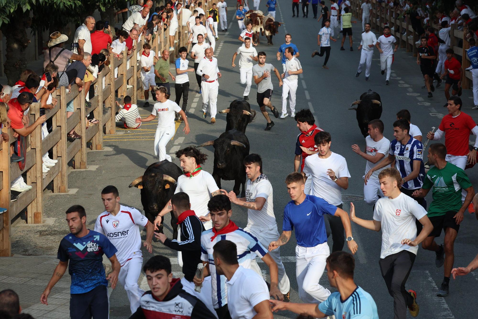 Fotos del cuarto encierro de fiestas de Tafalla 2025