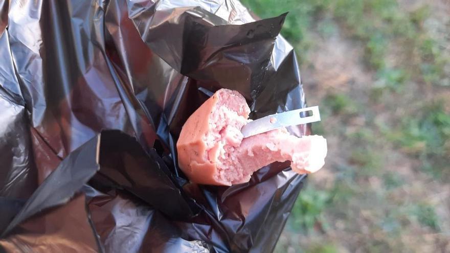 Halladas piezas de carne con trampas en los fosos de la Ciudadela