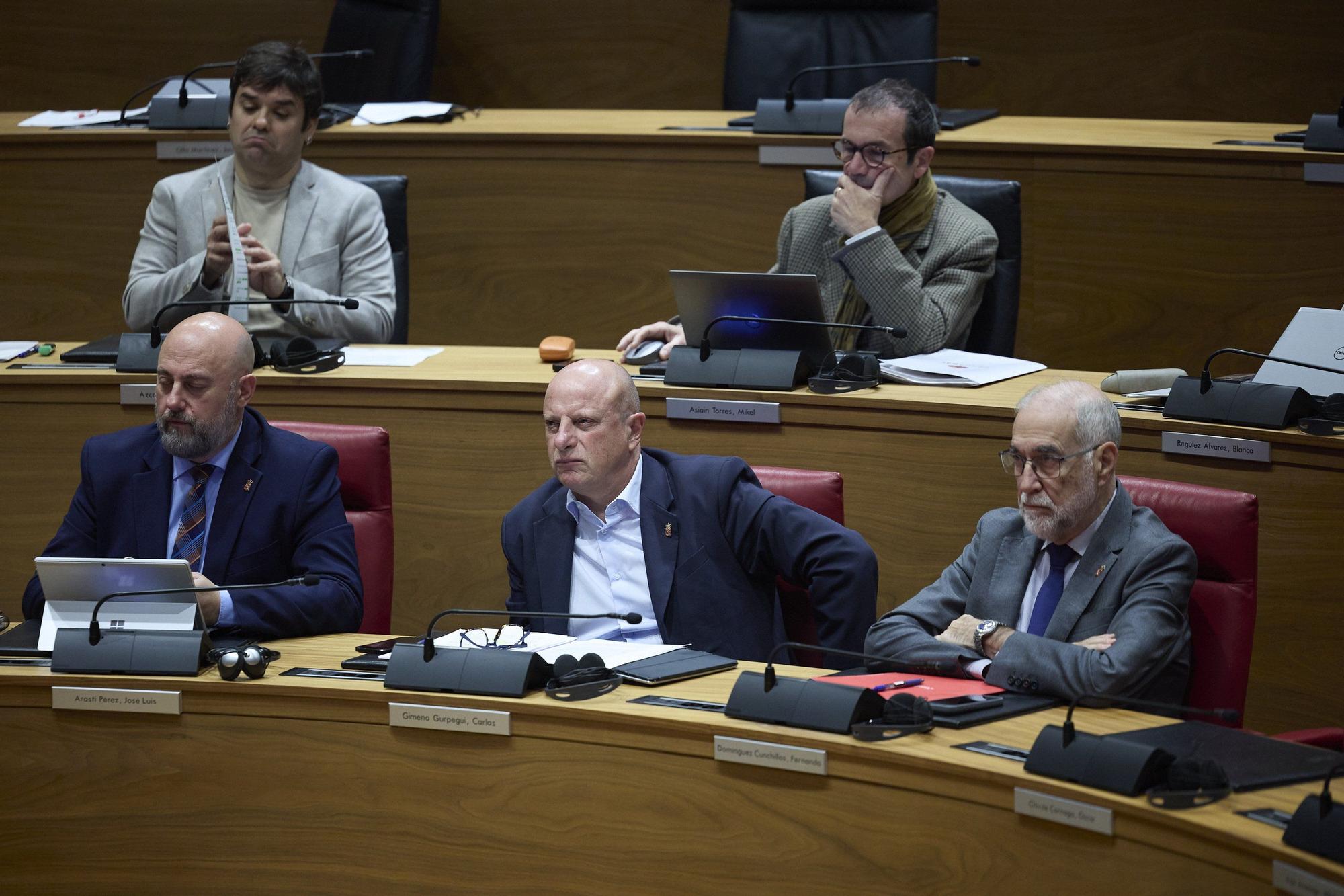 Fotos del pleno del Parlamento de Navarra (20 de noviembre de 2025)