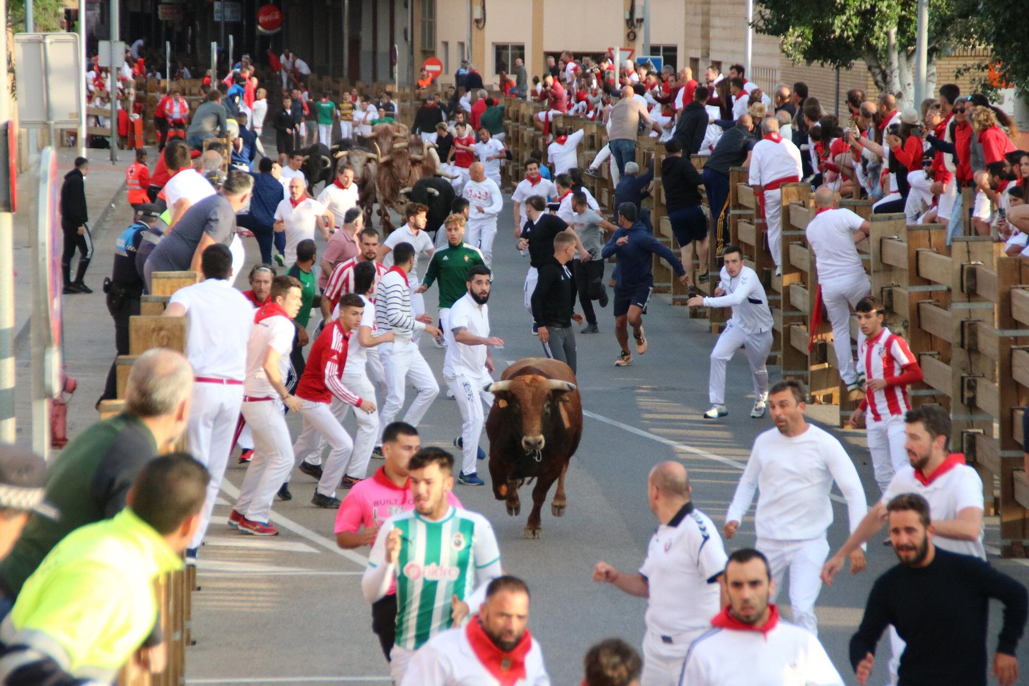Fotos del primer encierro de las fiestas de Tudela 2025