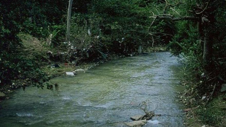 Imagen del río Arga a su paso por Barañáin.