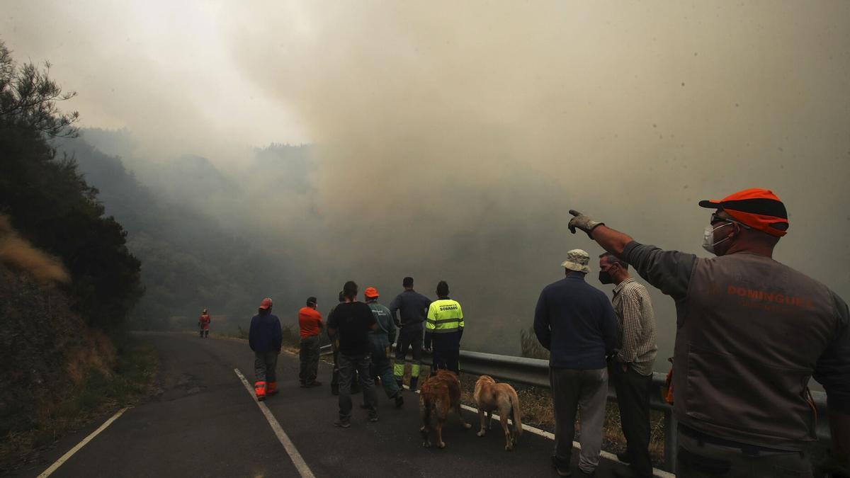 Imagen de uno de los incendios activos de Ponferrada.
